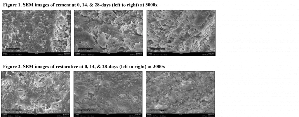 Chart shows increased concentrations of calcium and phosphorous on the surface of ACTIVA Cement and Restorative