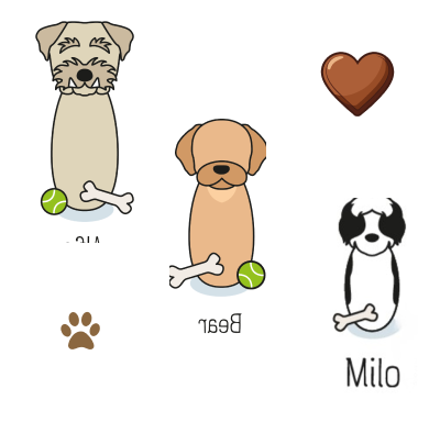 Dog Blog image Meet Our Office Dogs ð¾